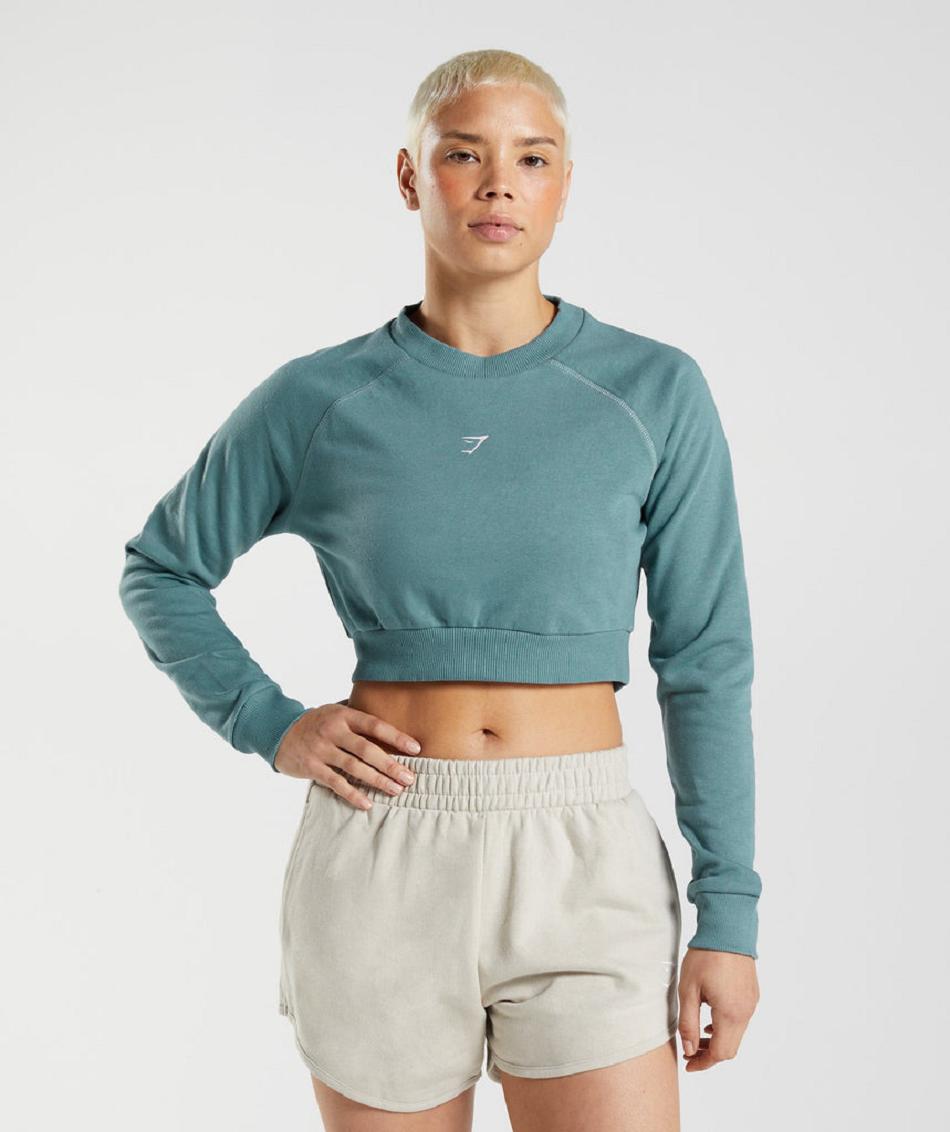 Gymshark Training Cropped Sweater Ženske Accessories Plave | HR 3774JPQ